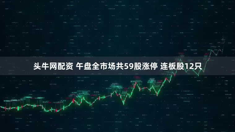 头牛网配资 午盘全市场共59股涨停 连板股12只