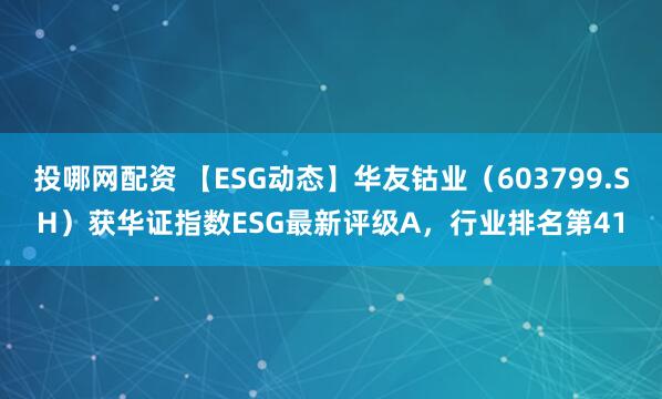 投哪网配资 【ESG动态】华友钴业（603799.SH）获华证指数ESG最新评级A，行业排名第41