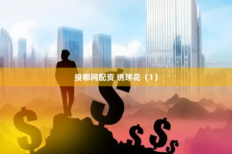 投哪网配资 绣球花（1）