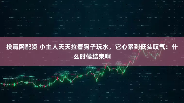投赢网配资 小主人天天拉着狗子玩水，它心累到低头叹气：什么时候结束啊