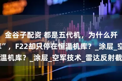 金谷子配资 都是五代机，为什么歼20停在“车库”，F22却只停在恒温机库？_涂层_空军技术_雷达反射截面