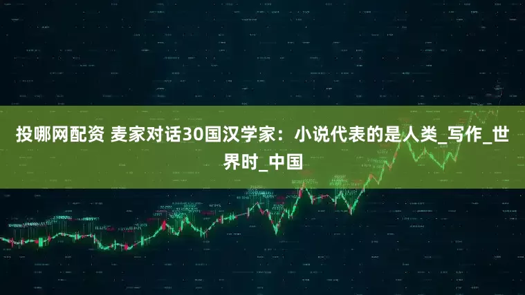投哪网配资 麦家对话30国汉学家：小说代表的是人类_写作_世界时_中国