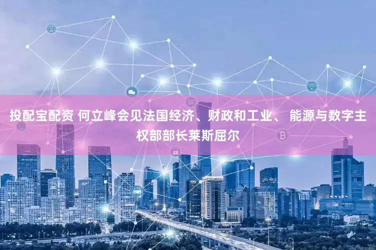 投配宝配资 何立峰会见法国经济、财政和工业、 能源与数字主权部部长莱斯屈尔