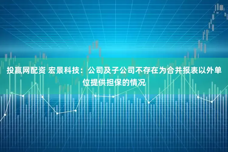 投赢网配资 宏景科技：公司及子公司不存在为合并报表以外单位提供担保的情况